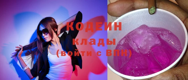 стаф Бородино