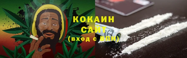 стаф Бородино