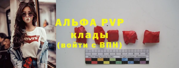 стаф Бородино