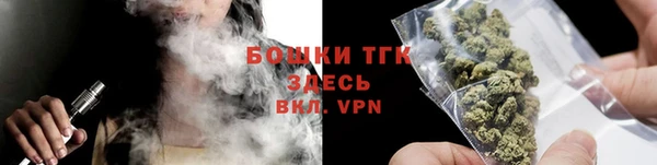 стаф Бородино