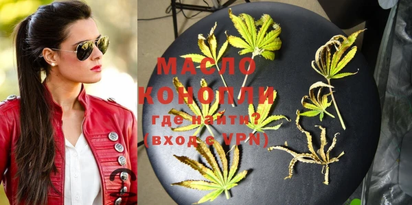 стаф Бородино