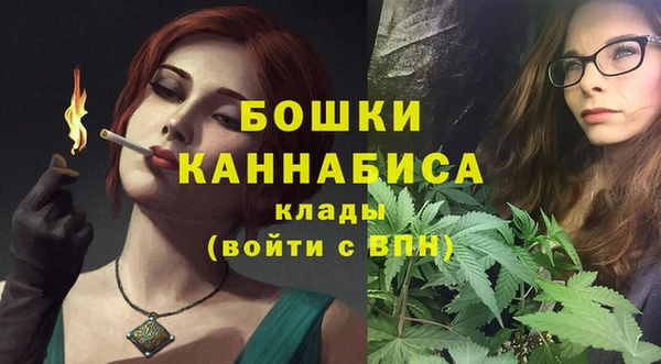 стаф Бородино