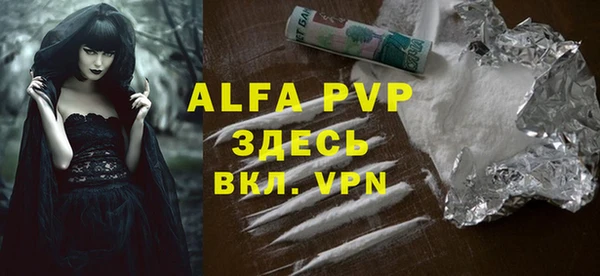 стаф Бородино