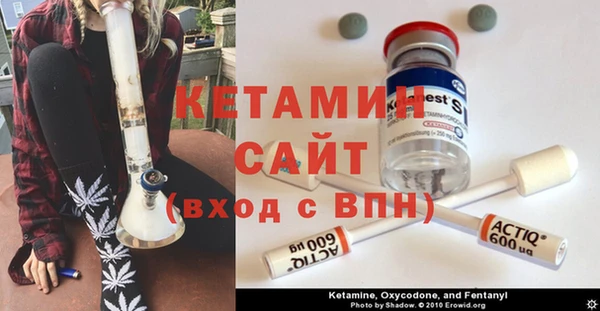 стаф Бородино